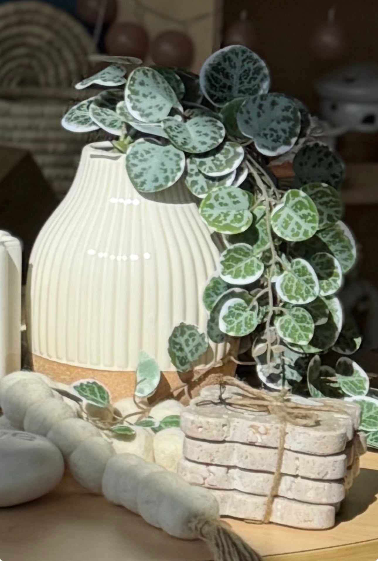 Green and White String of Hearts Trailing Vine, 18in.