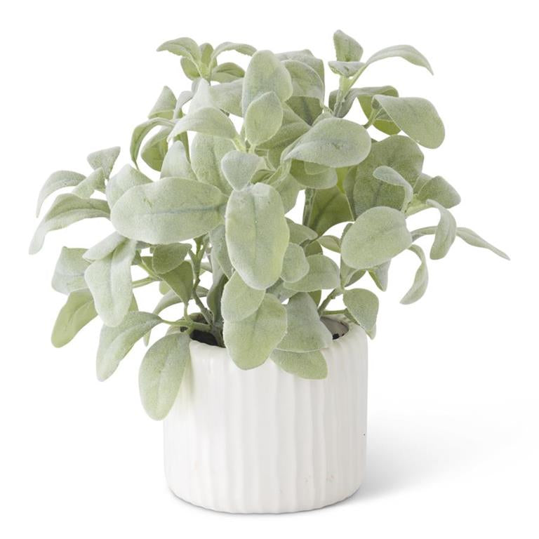 Faux blue green Lamb’s ear plant ina modern style Matt white ceramic port with vertical ribbed design. Great for modern farmhouse and Scandinavian style homes!