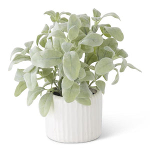 Faux blue green Lamb’s ear plant ina modern style Matt white ceramic port with vertical ribbed design. Great for modern farmhouse and Scandinavian style homes!