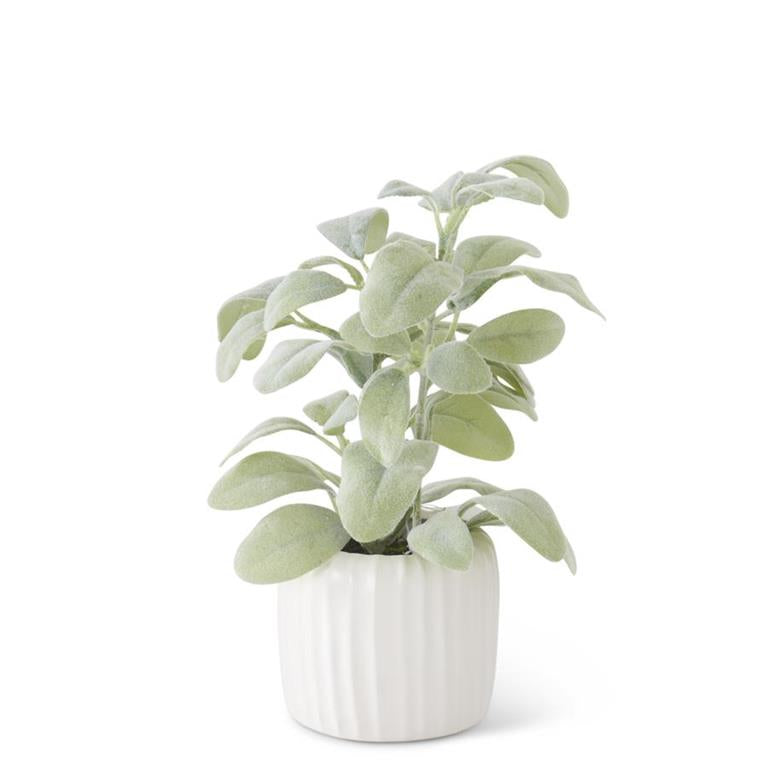 Small Faux Lambs Ear Plants in Modern Style Ribbed White Ceramic Pot, 11 in. H