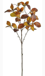 Fall Enkianthus Leaf Branch, 30in.H