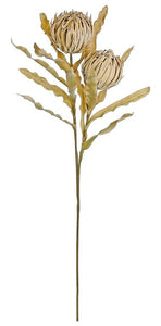 Beige Faux Dried Protea Flower Stem, 39in.H