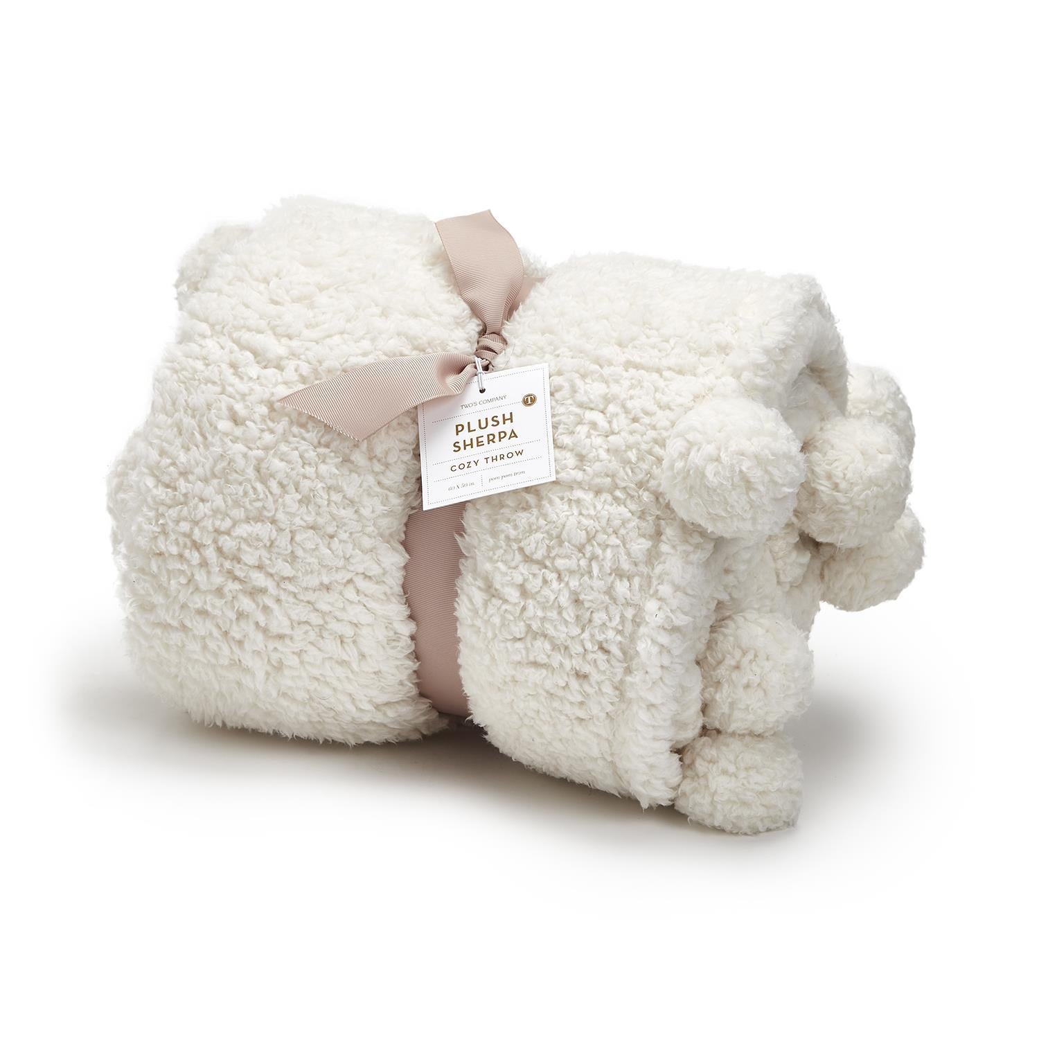 Pottery barn cozy pom best sale pom throw