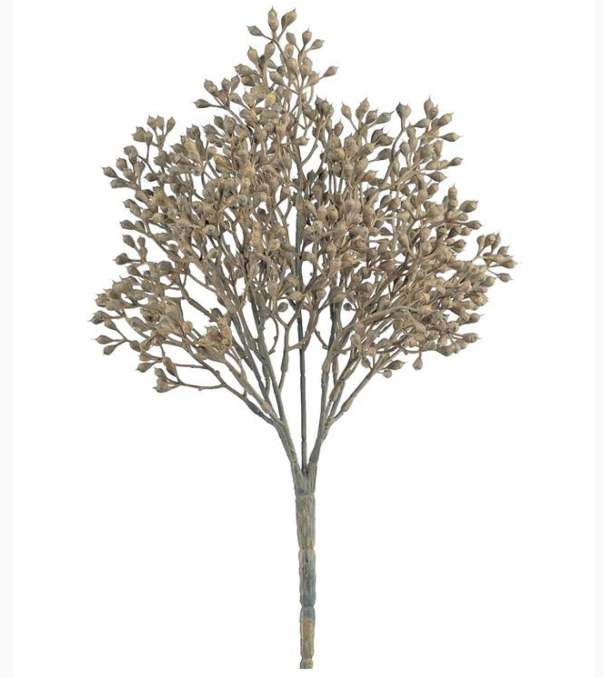 Fall Seed Stem, Tobacco 12in.H