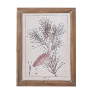 Jersey Pine Branch with Pinecone Reproduction Botanical Print in Wood Frame, 16in.H