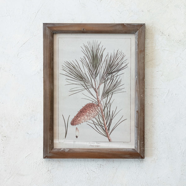 Jersey Pine Branch with Pinecone Reproduction Botanical Print in Wood Frame, 16in.H