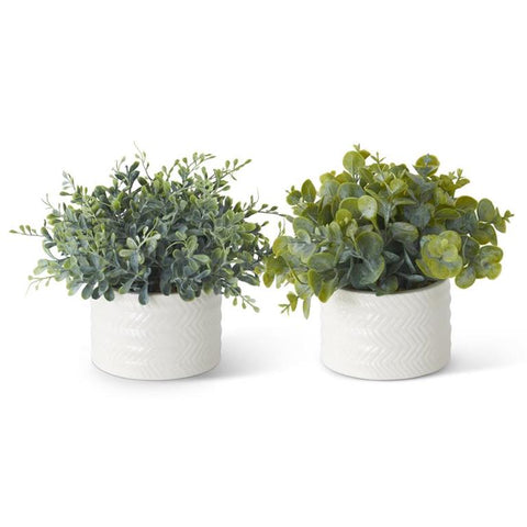 Potted Faux Eucalyptus in White Basket Weave Pattern CeramicPot_8in.Wx7in.H17962A