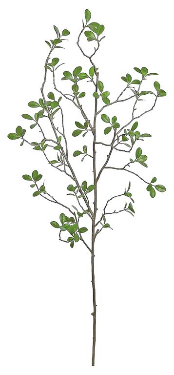 Budding Green Leaf Bonsai style branch with light tan bark , 40in.H, artificial.