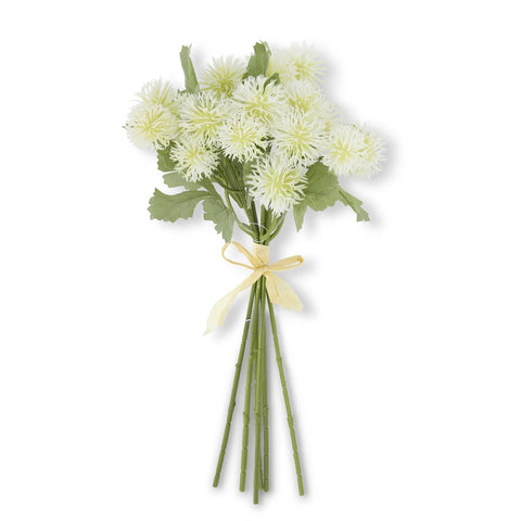 White Sycamore Fruit Ball Bundle, 12In.H (6 Stems)