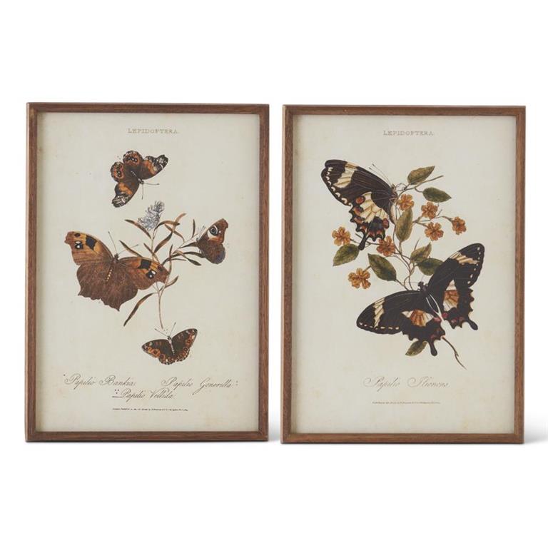 Butterfly Print With Fir Wood Frame, 17.5in.H