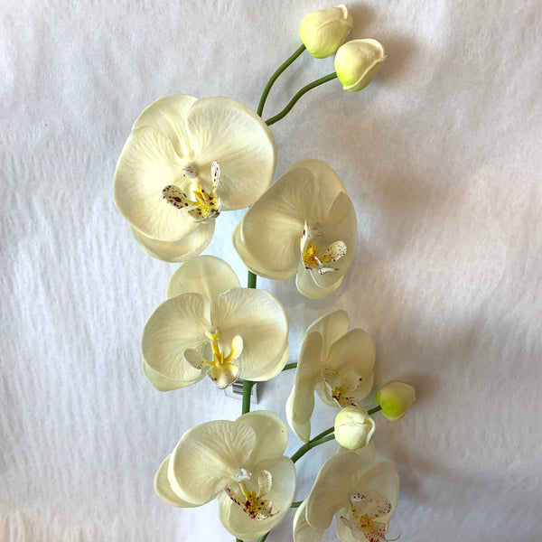 Cream Real Touch Phalaenopsis Orchid Stem, 30.5”L