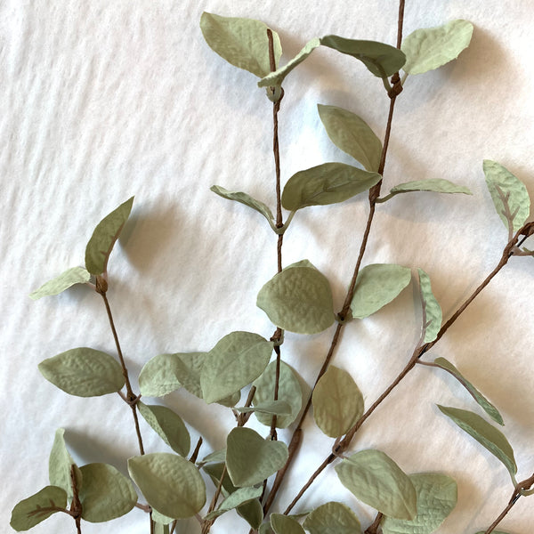 Light Green Eucalyptus Stems, 34”H