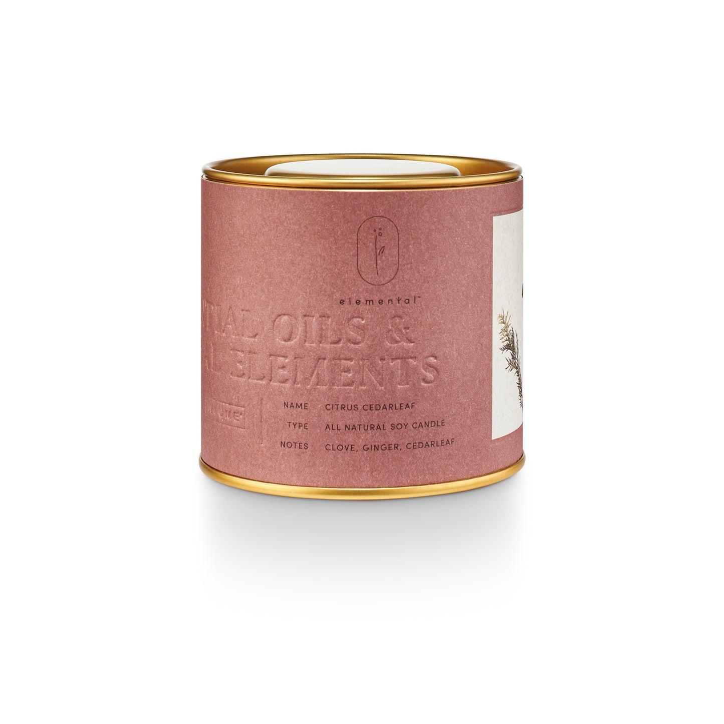 Citrus & Cedarleaf Natural Tin Candle