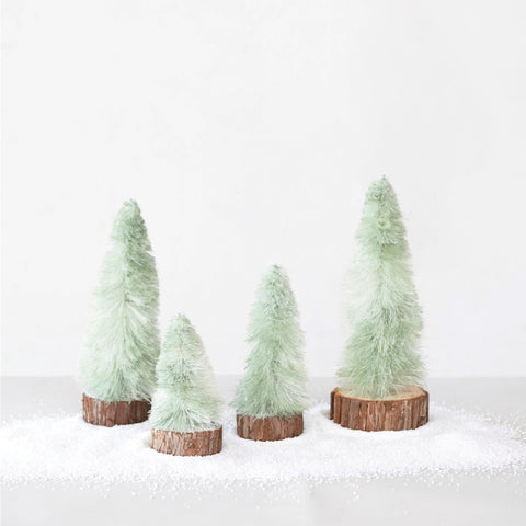 Silky Sage Trees with Wood Slice Base