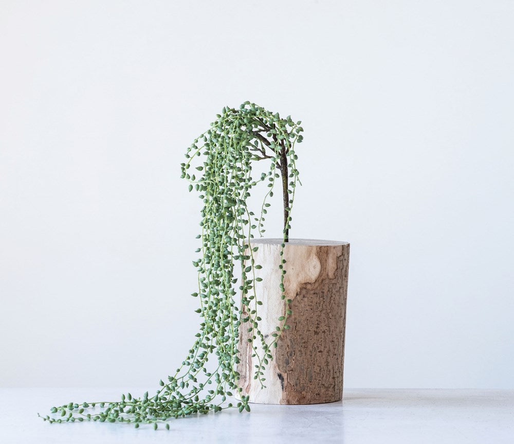 Baby’s Tears, Faux Succulent Vine 39”L