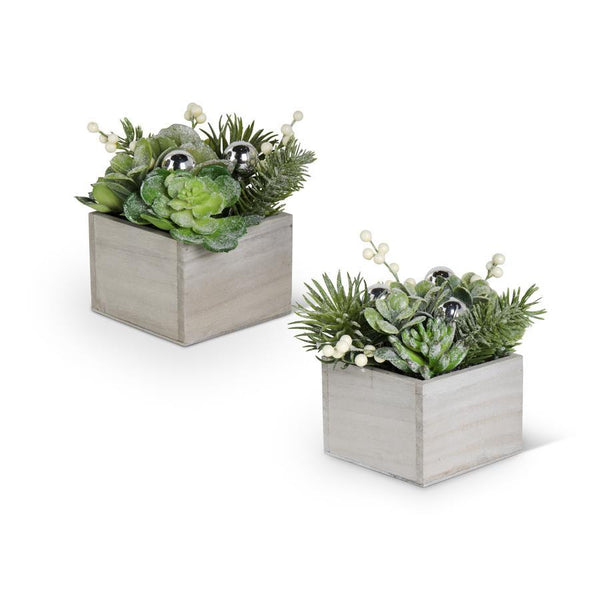 Glittered Faux Mixed Succulents accented with cream berries and small silver ornaments in a light washed wood box 