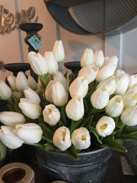 Mini Tulip bundle of 12 - Bower on Market