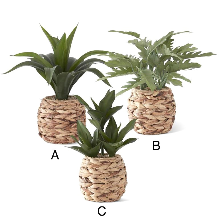 Faux Tropical Plant in Water Hyacinth Basket