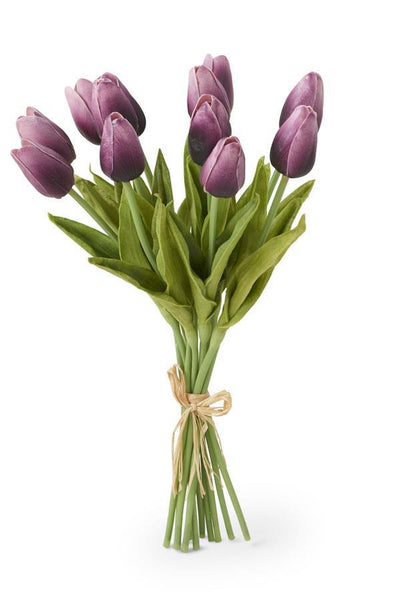 Purple Mini Tulip Bundle