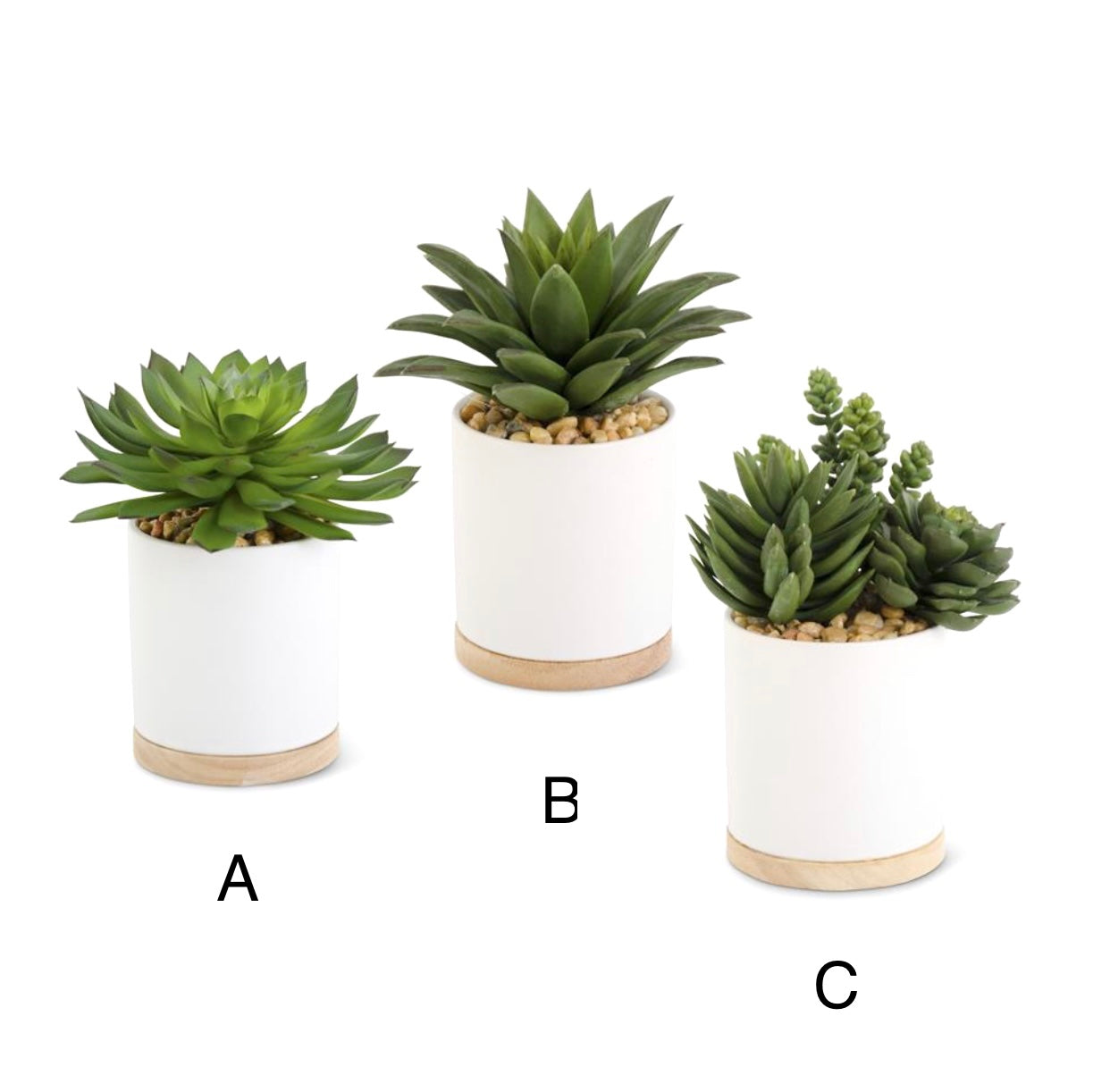 Faux Succulent in Modern White Ceramic Pot with Wood Base, 6 in. H, Choice of 3 Styles