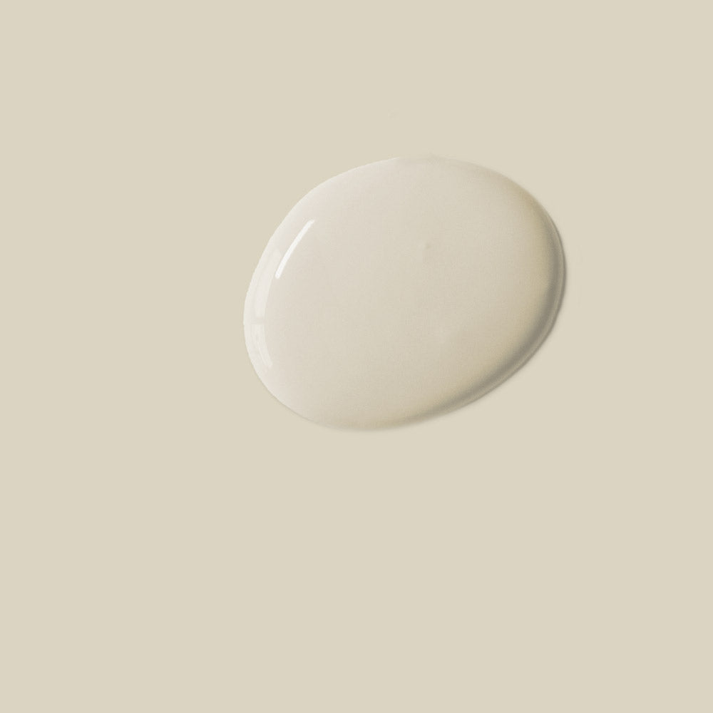 Canvas Annie Sloan Satin Paint