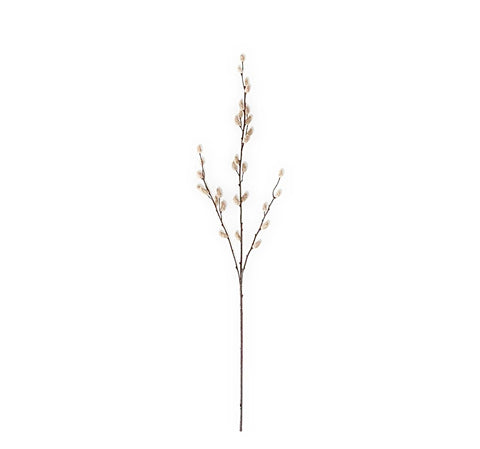 Tan Pussy Willow Stems, 33”H