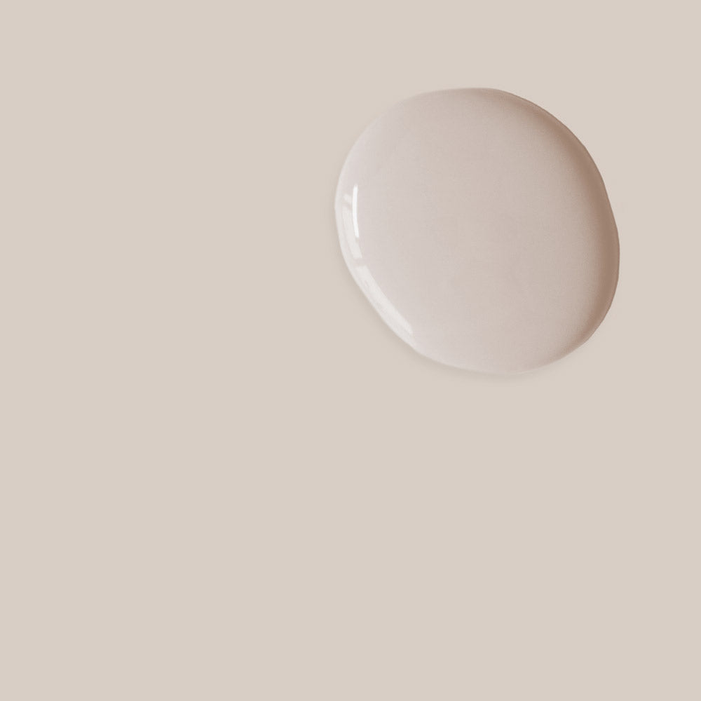 Pointe Silk Annie Sloan Satin Paint