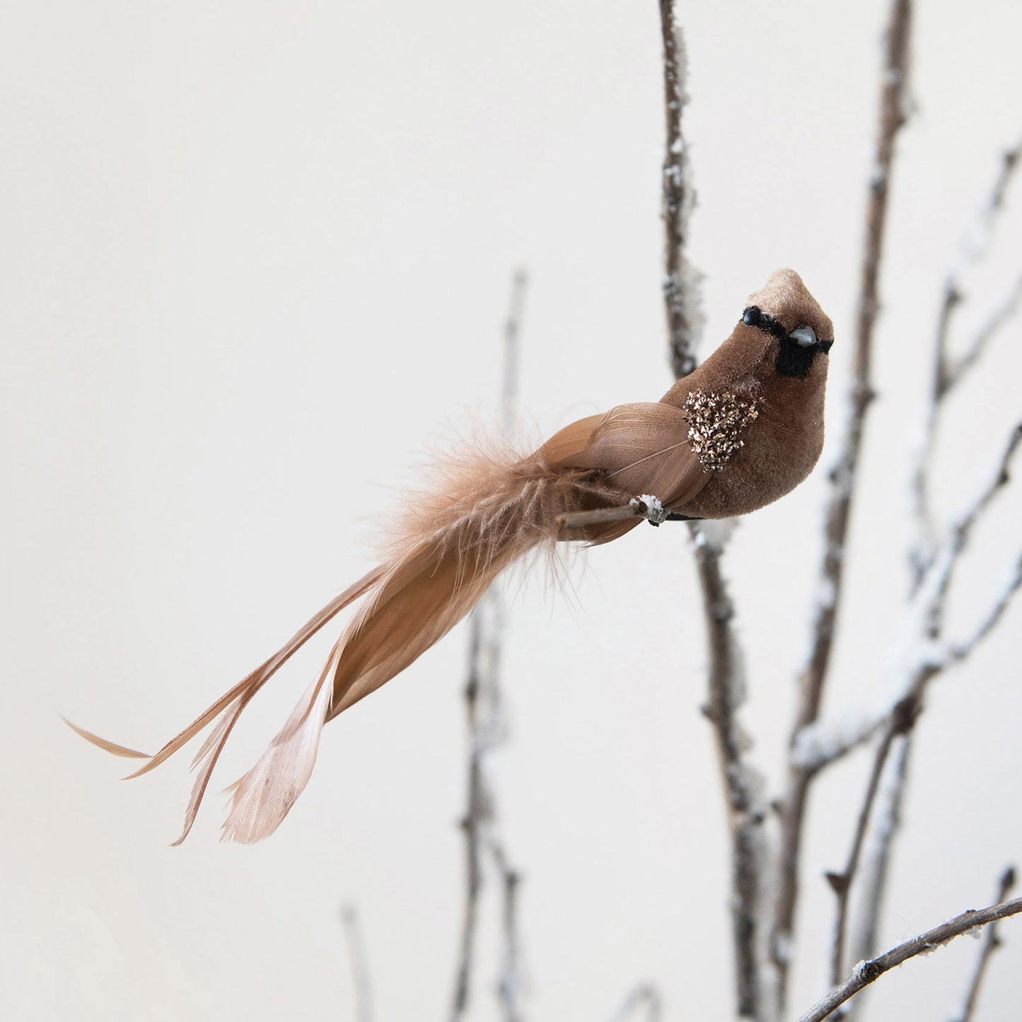 Faux Bird Clip-on Ornaments, Boxed Set of 3