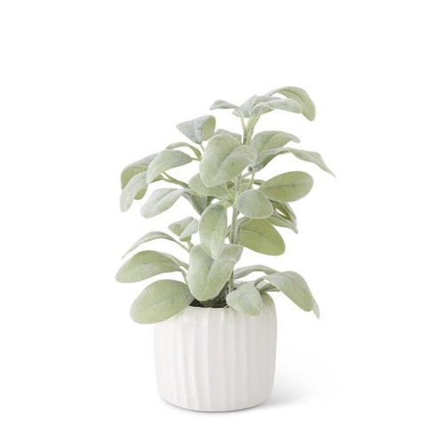 Small  Faux Lambs Ear Plants in Modern Style Ribbed White Ceramic Pot, 11 in. H