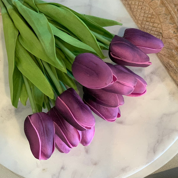 Purple Mini Tulip Bundle
